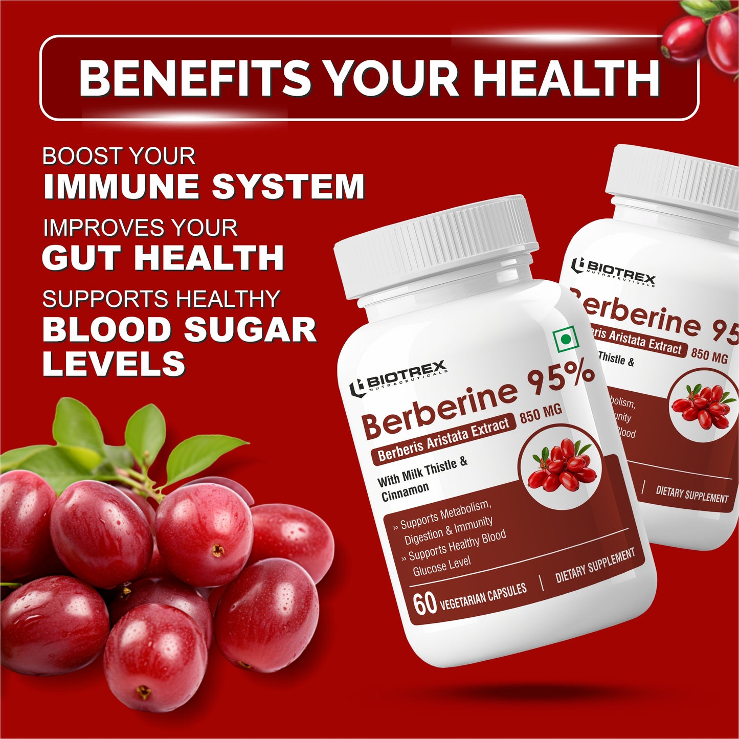 Biotrex Berberis Berberine 95% Supplement - 60 Veg Capsules
