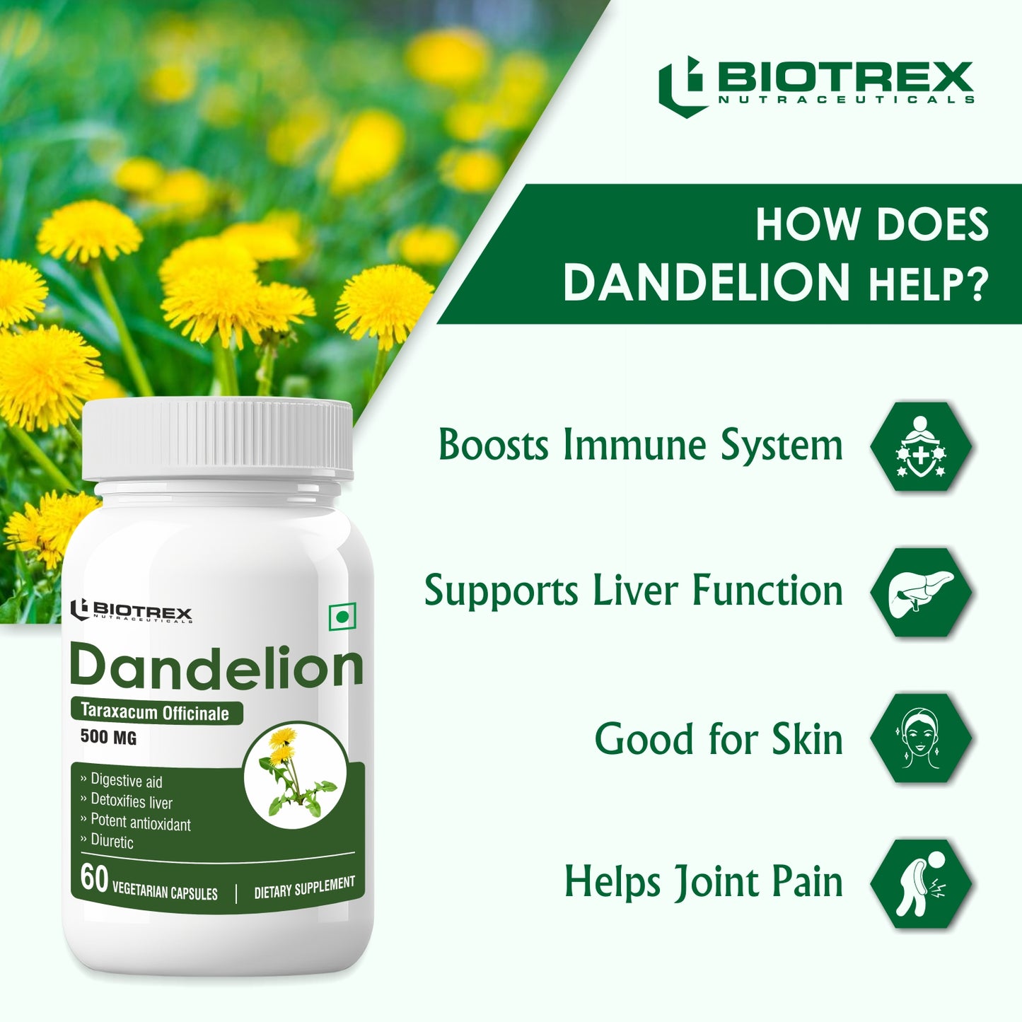 Biotrex Dandelion 500mg - 60 Capsules, Antioxidant, Detoxifies Liver, Digestive Aid