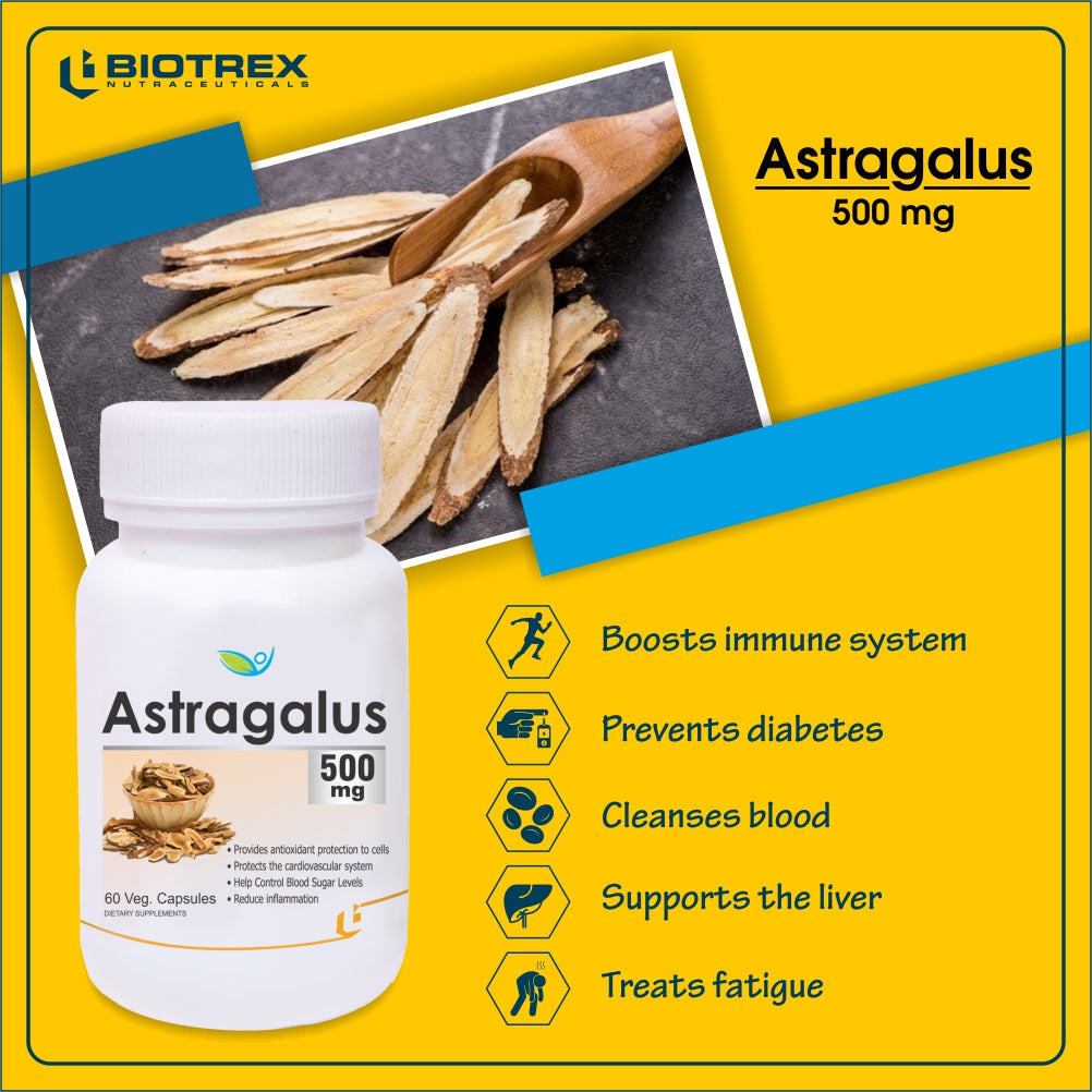 Biotrex Astragalus 500mg 60 Capsules to Support Immune system and Increases energy Levels