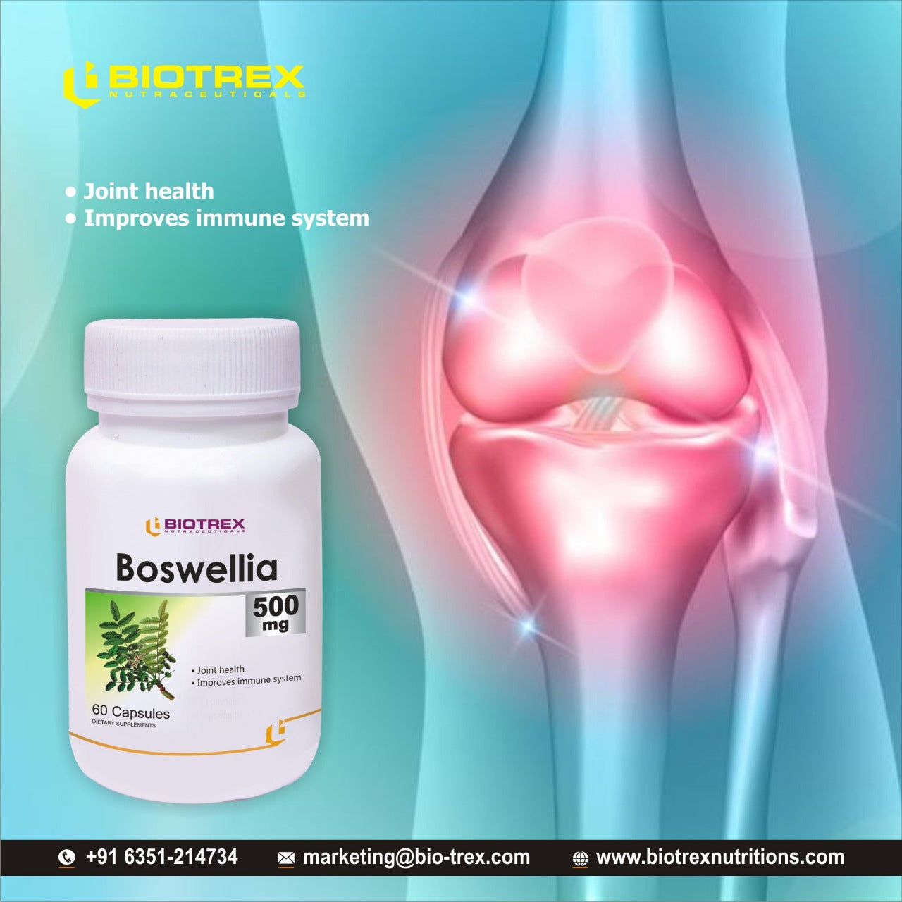 Biotrex Boswellia 500mg - 60 Capsules