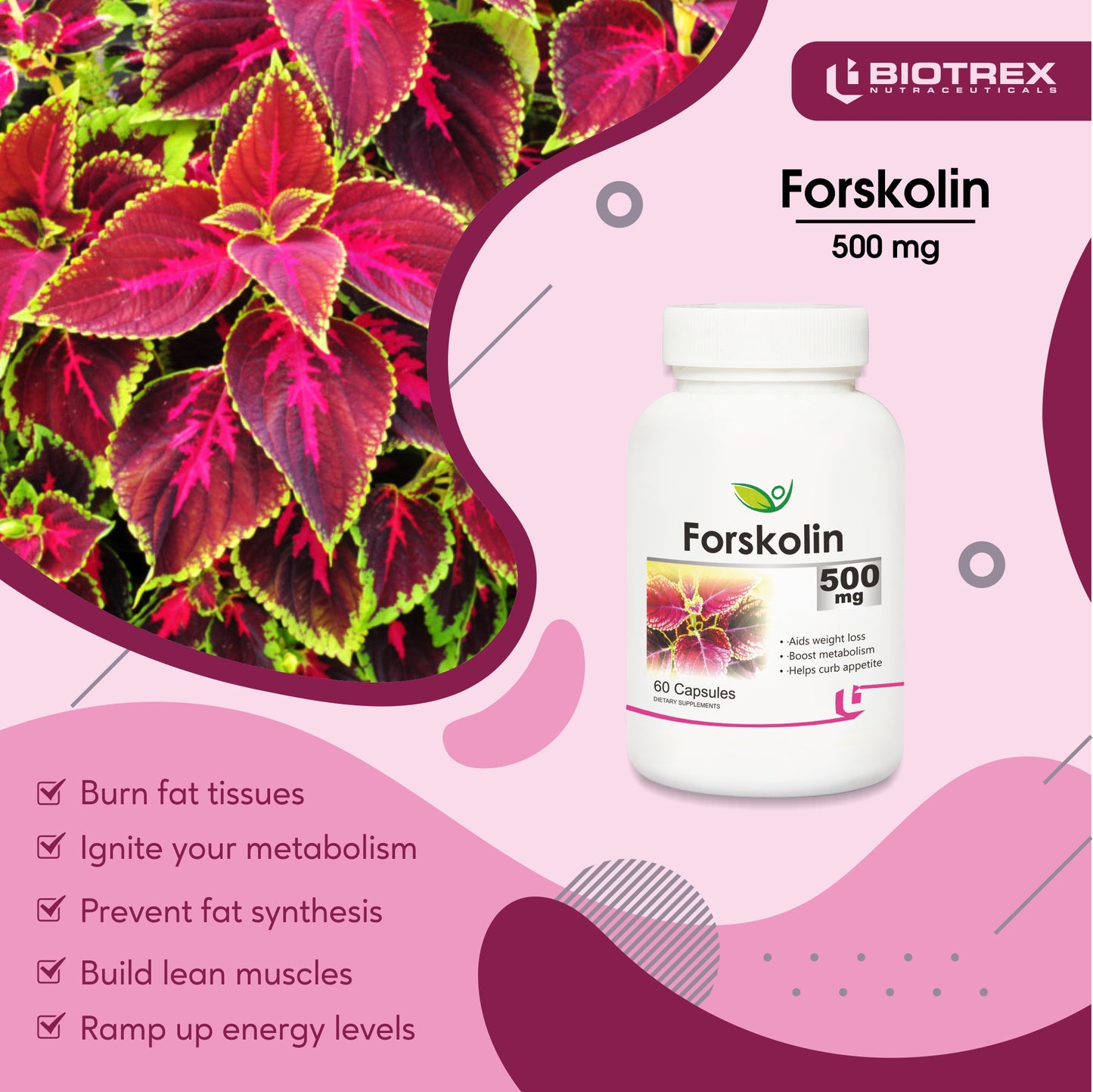 Biotrex Forskolin 500mg- 60 Capsules