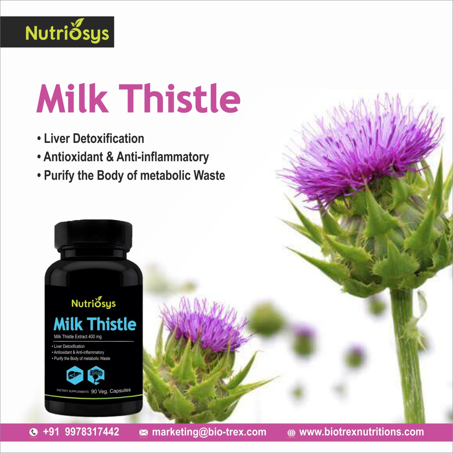 Nutriosys Milk Thistle 400mg - 90 Capsules