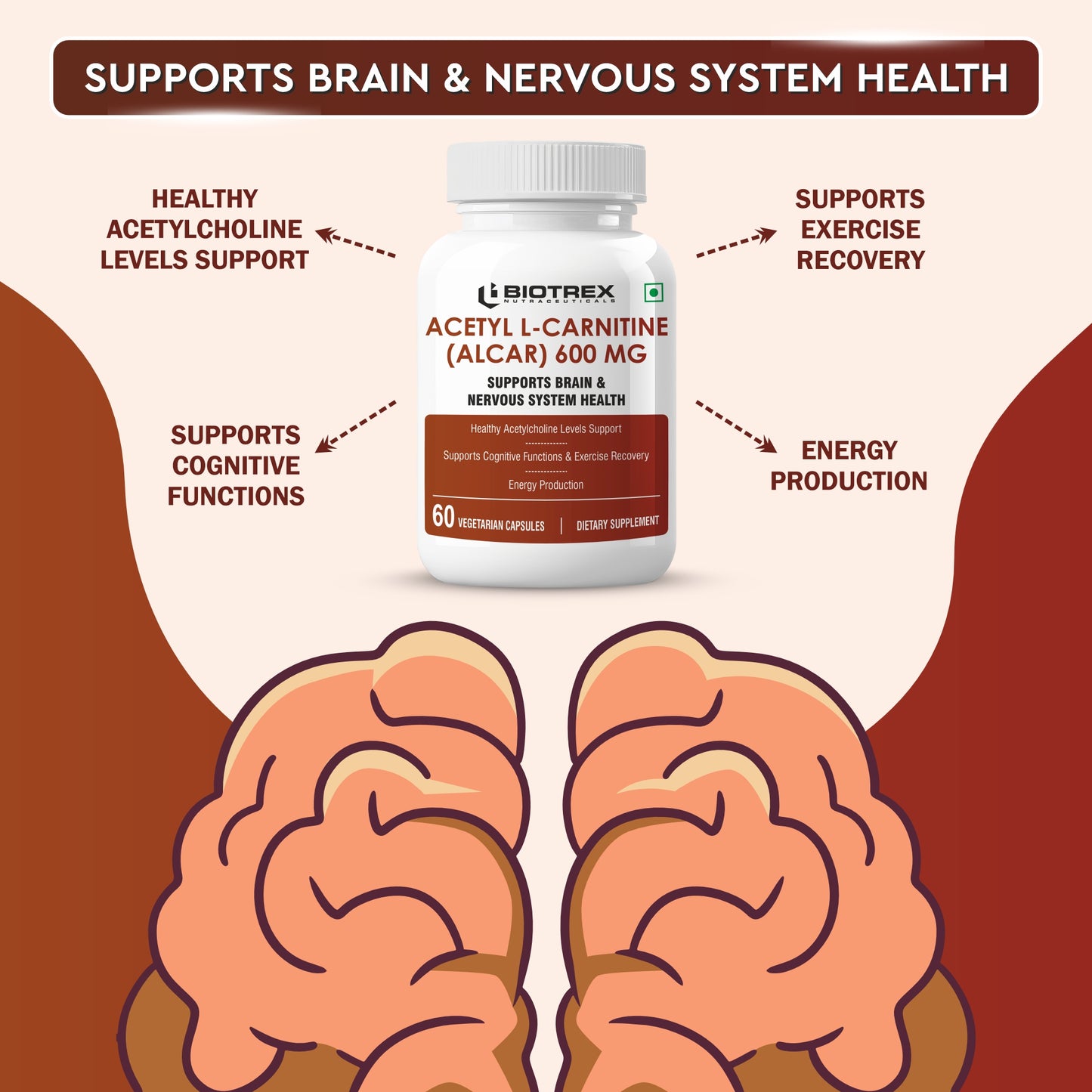 Biotrex Acetyl L-Carnitine (ALCAR) 600mg | Nervous System, Cognitive Function & Mitochondrial Metabolism | Energy Production - 60 Veg Capsules
