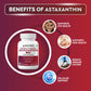 Biotrex Astaxanthin 4mg | Supports Eye & Skin Health I Boosts Immune System | Cellular Support | Naturally Sourced - 60 Veg Capsules