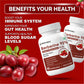 Biotrex Berberis Berberine 95% Supplement - 60 Veg Capsules