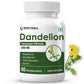 Biotrex Dandelion 500mg - 60 Capsules, Antioxidant, Detoxifies Liver, Digestive Aid