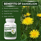 Biotrex Dandelion 500mg - 60 Capsules, Antioxidant, Detoxifies Liver, Digestive Aid