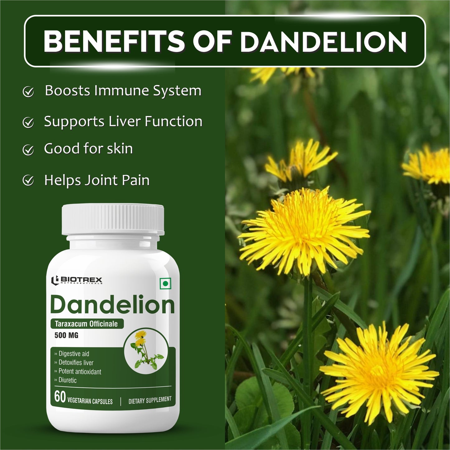 Biotrex Dandelion 500mg - 60 Capsules, Antioxidant, Detoxifies Liver, Digestive Aid