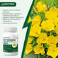 Biotrex Evening Primrose Oil 1000mg - 60 Softgels