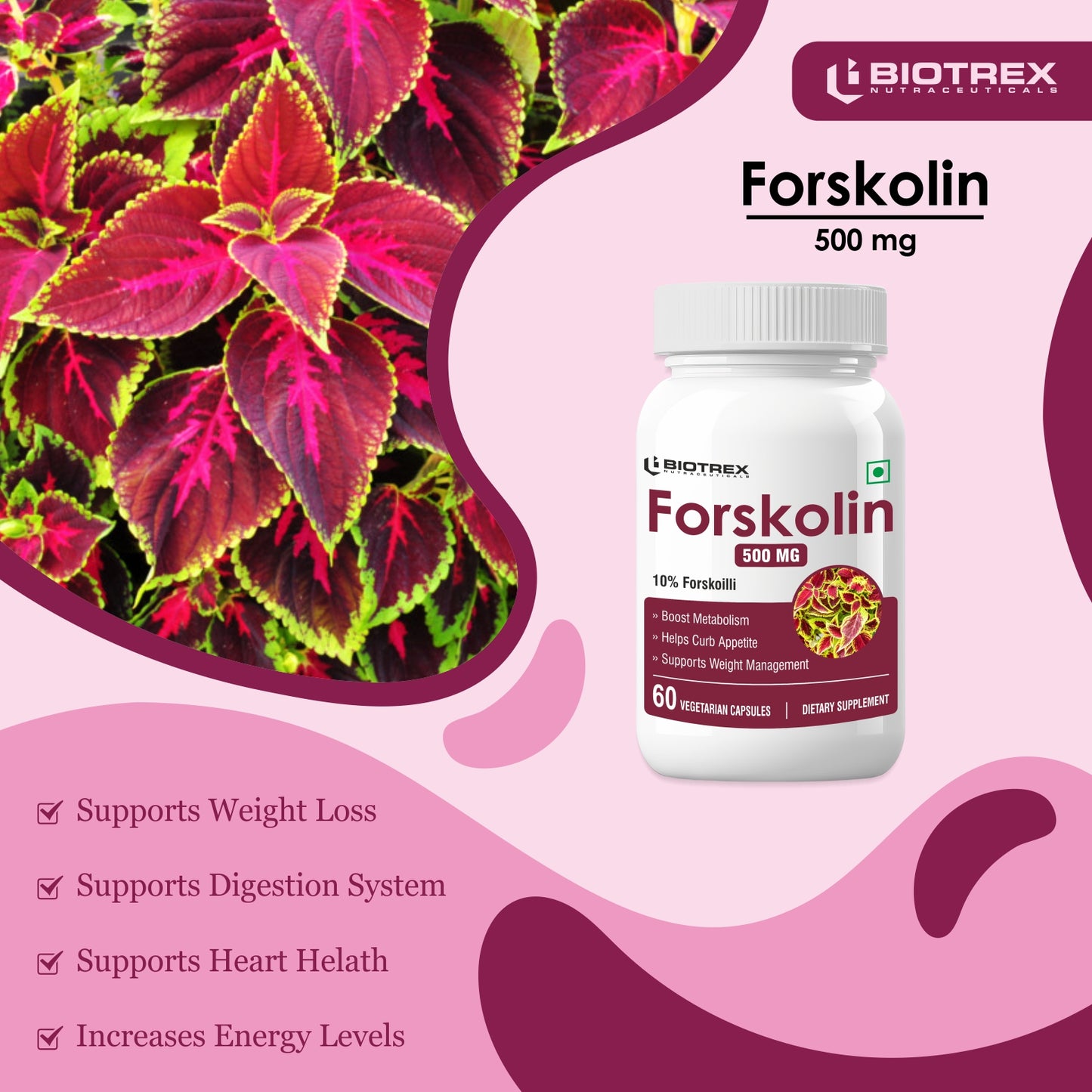 Biotrex Forskolin 500mg- 60 Capsules