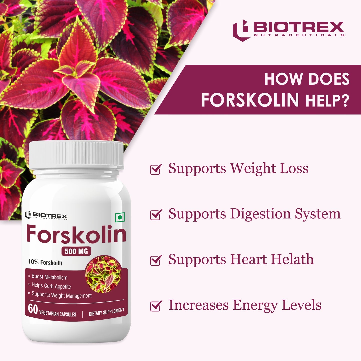 Biotrex Forskolin 500mg- 60 Capsules