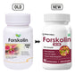 Biotrex Forskolin 500mg- 60 Capsules