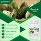 Biotrex Graviola 500mg - 60 Capsules