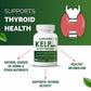 Biotrex Kelp Extract 600mg | Richest Vegan Source of Iodine | Supports Thyroid Health & Healthy Metabolism with Soluble Fiber - 60 Veg Capsules