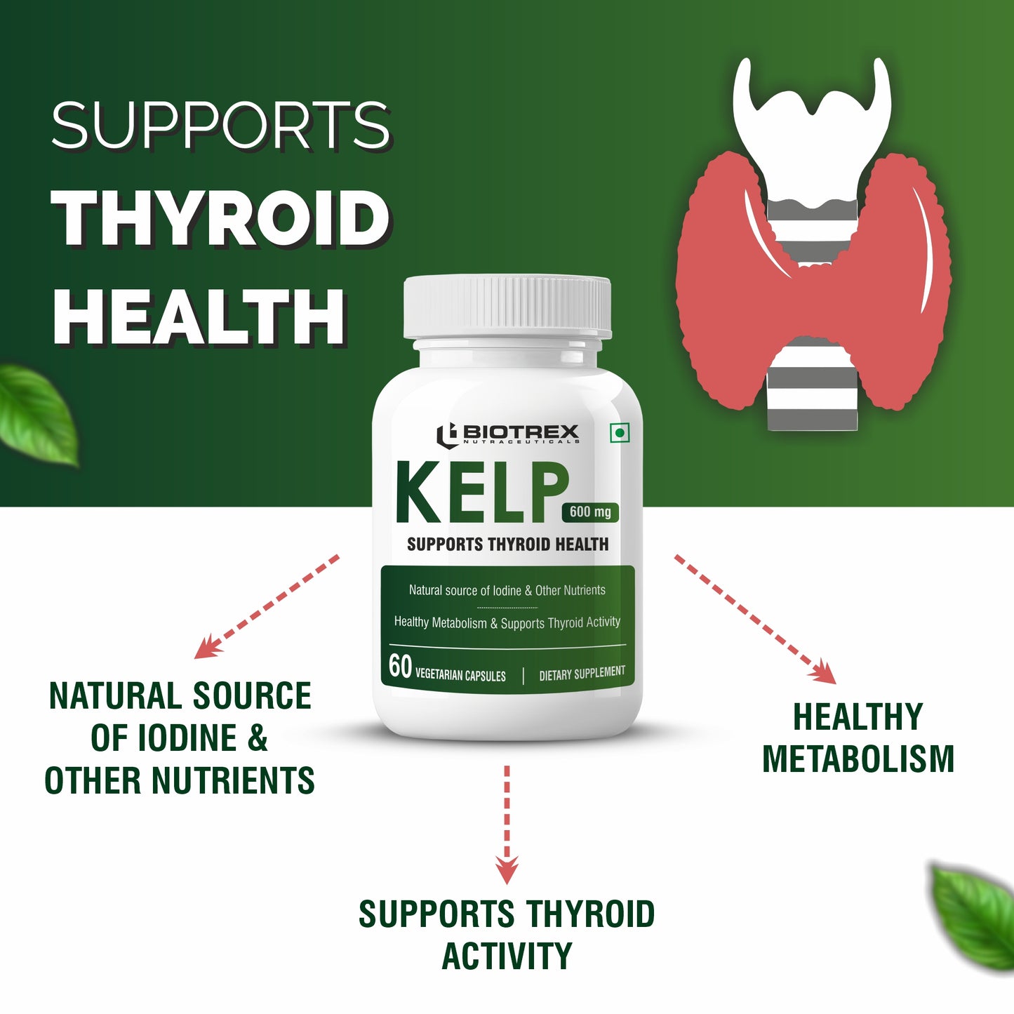 Biotrex Kelp Extract 600mg | Richest Vegan Source of Iodine | Supports Thyroid Health & Healthy Metabolism with Soluble Fiber - 60 Veg Capsules