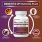 Biotrex Mucuna Pruriens (Kapikachhu) (20% L-Dopa) 500mg With P-5-P (Pyridoxal 5'-Phosphate) 50mg | Prolactin Support | Vitality & Energy Booster | Cardiovascular | Nerve Health - 30 Veg Capsules