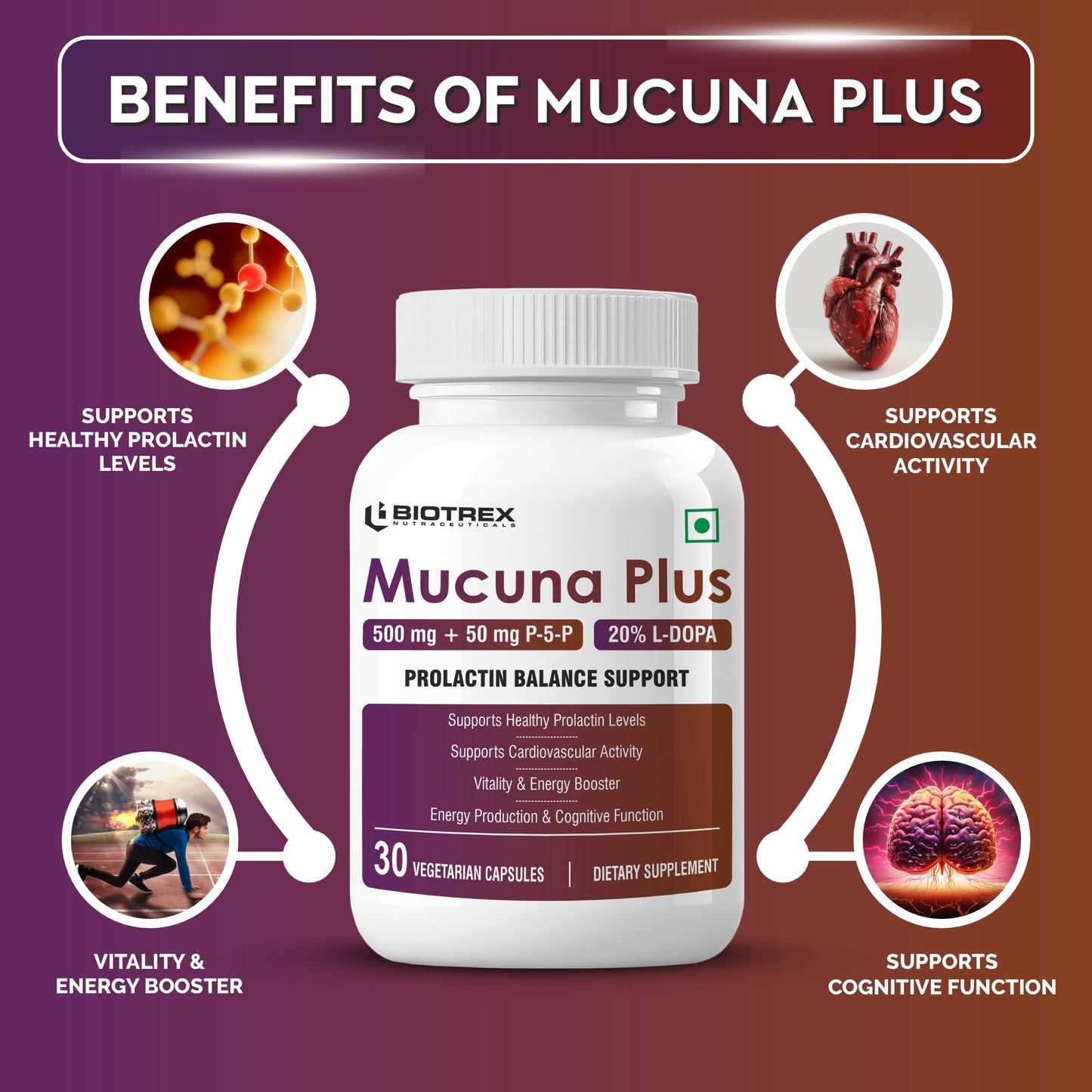 Biotrex Mucuna Pruriens (Kapikachhu) (20% L-Dopa) 500mg With P-5-P (Pyridoxal 5'-Phosphate) 50mg | Prolactin Support | Vitality & Energy Booster | Cardiovascular | Nerve Health - 30 Veg Capsules