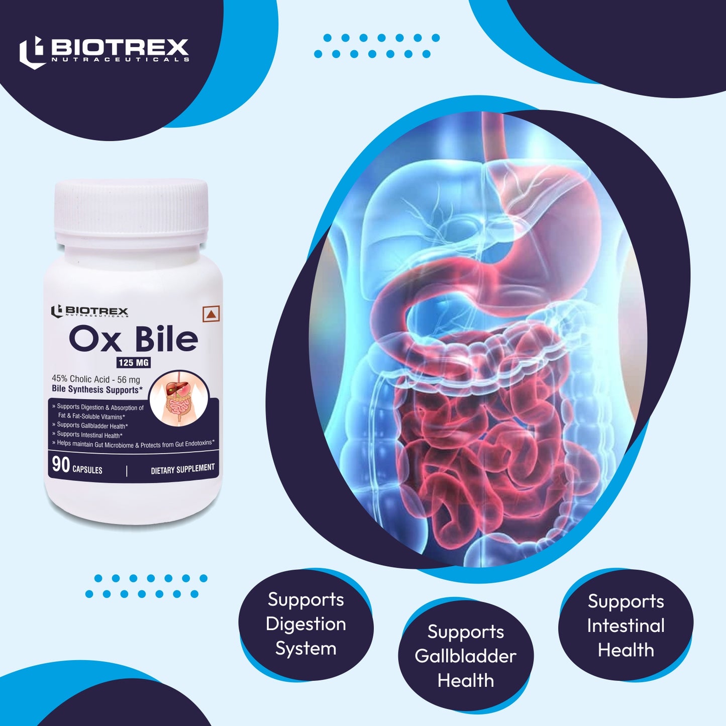 Biotrex Nutraceuticals OX BILE EXTRACT 125mg, 45% CHOLIC ACID, Supports Gallbladder Health & Supports Healthy Digestion, Bile Synthesis Support, (Gluten Free & Non-GMO) - 90 Capsules