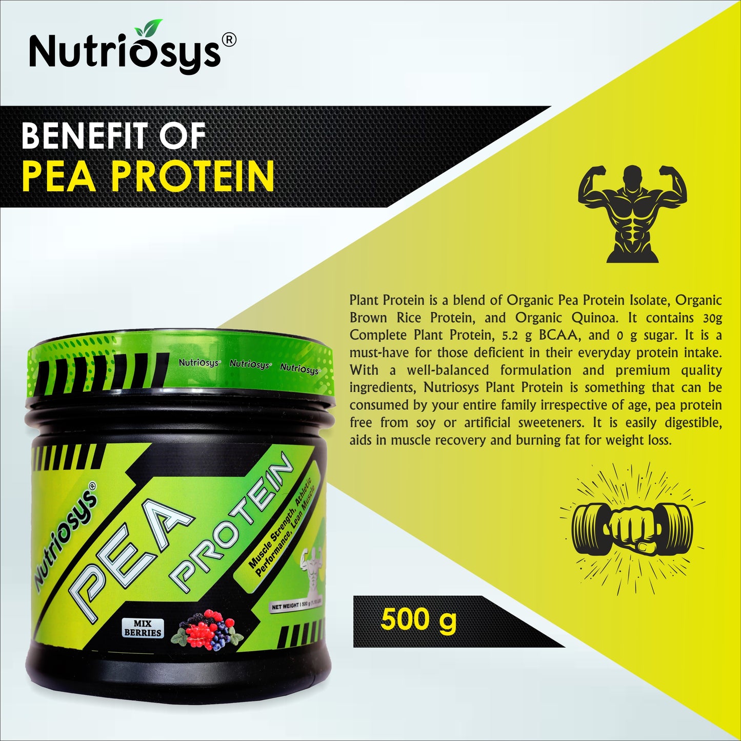 Nutriosys Pea Protein Powder- 500Gram