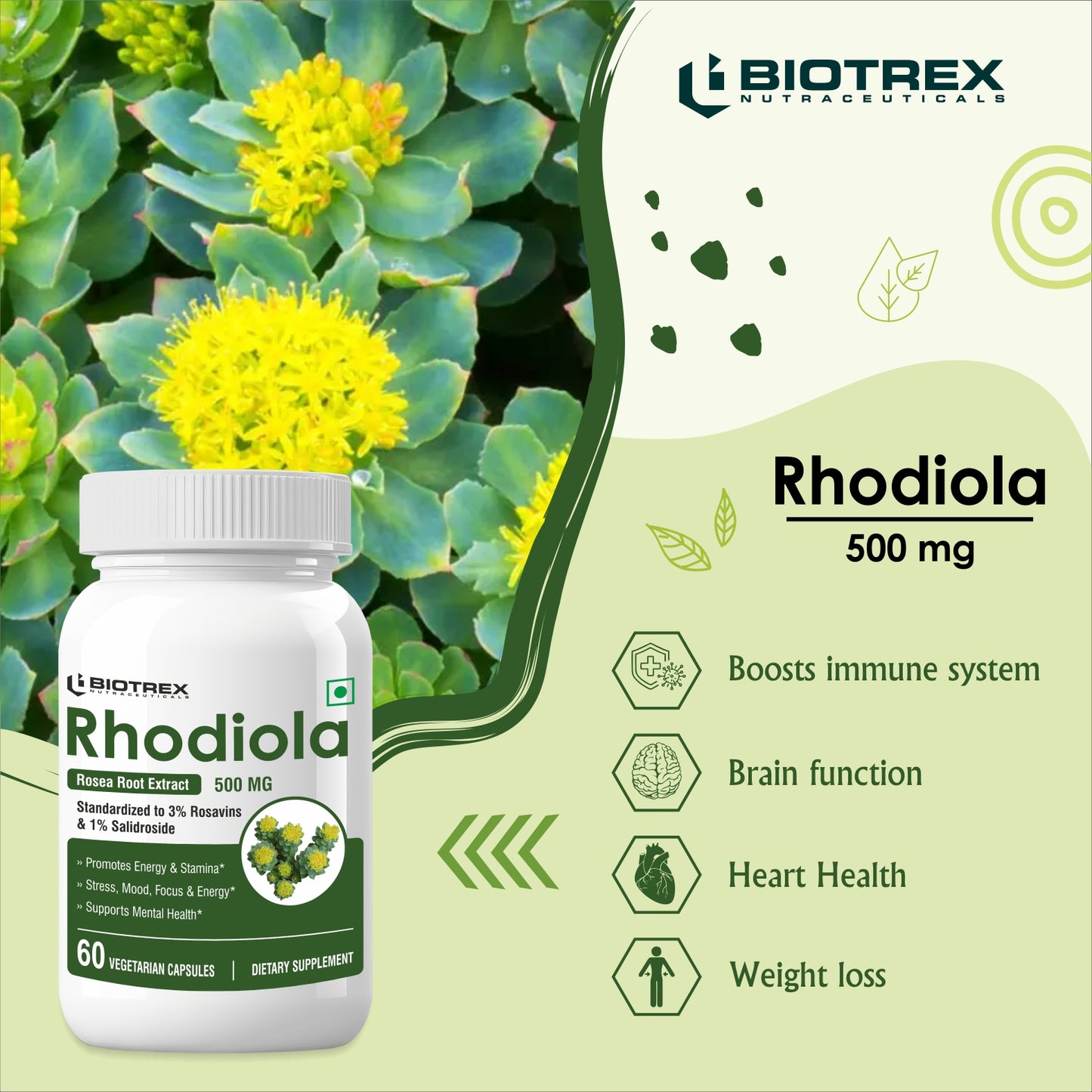 Biotrex Rhodiola 500mg - 60 Capsules