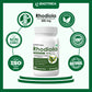 Biotrex Rhodiola 500mg - 60 Capsules