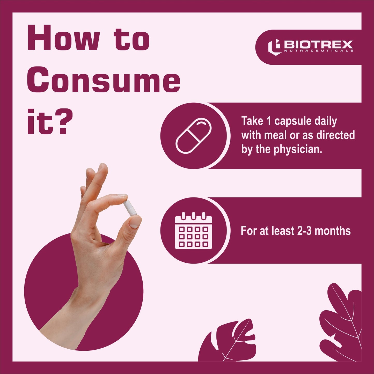 Biotrex Resveratrol 500mg - 60 Capsules Cognitive Health, Skin Health, Antioxidant Support & Cardiovascular Health