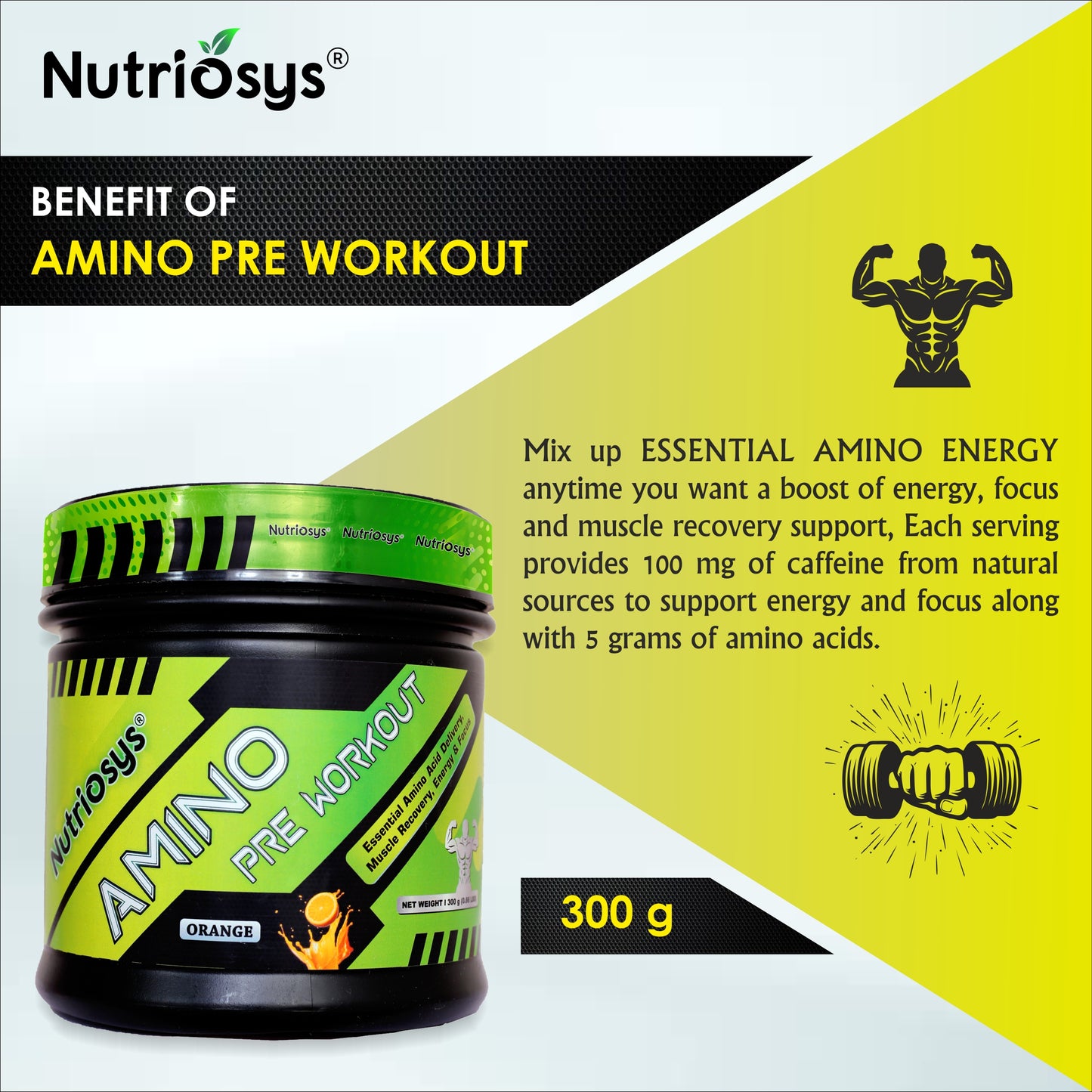 Nutriosys Amino Energy - 300Gram