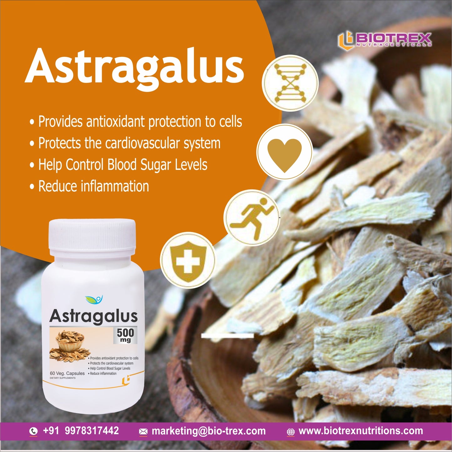 Biotrex Astragalus 500mg Supplement - 60 Veg Capsules