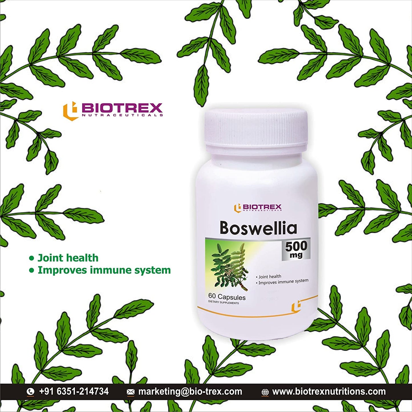 Biotrex Boswellia 500mg - 60 Capsules