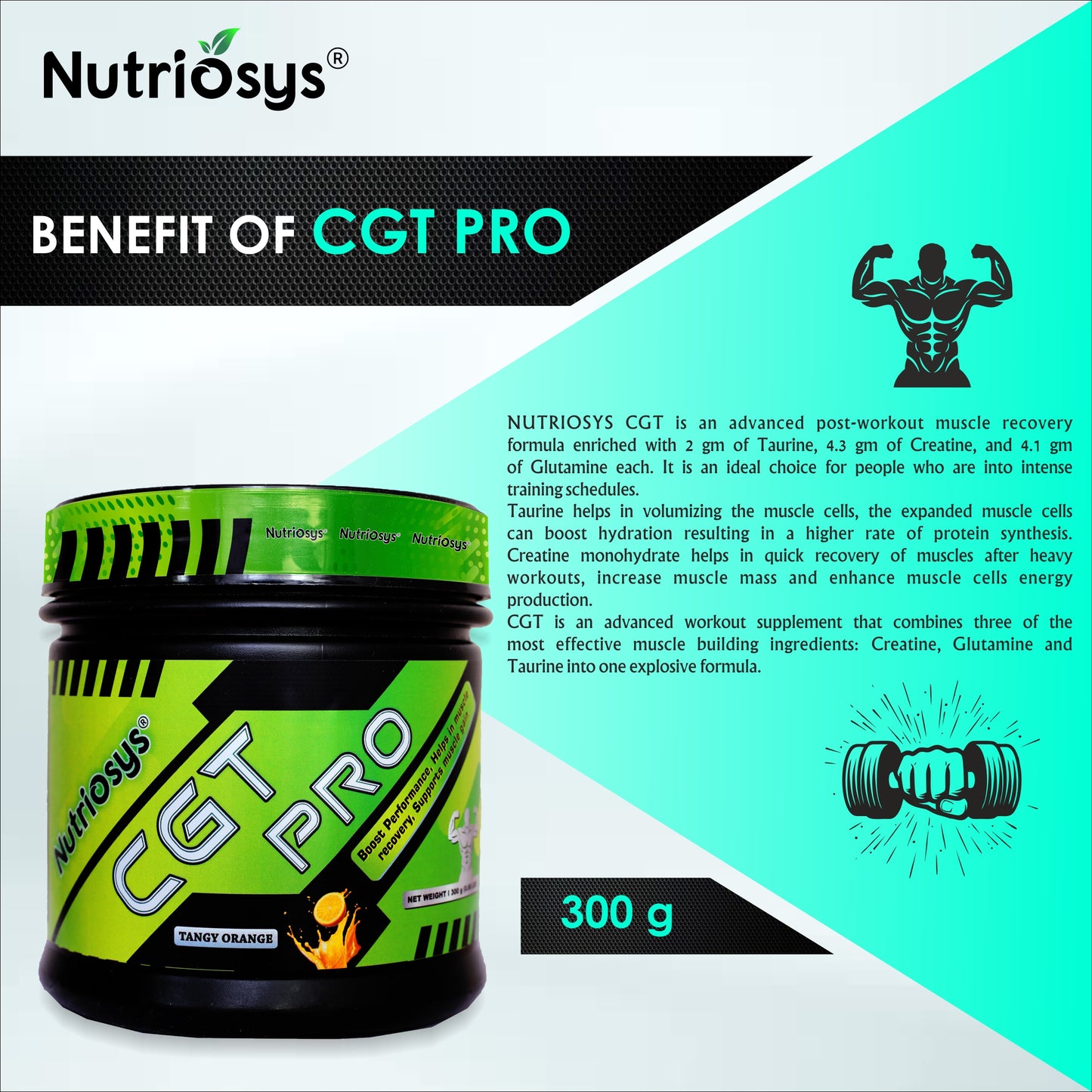 Nutriosys CGT Powder - 300Gram