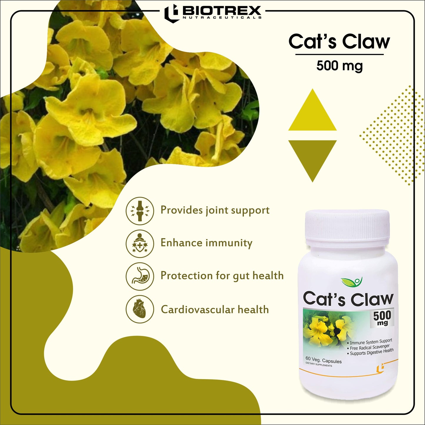 Biotrex Cat's Claw 500 mg - 60 Capsules