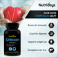 Nutriosys Chitosan 350mg - 90 Capsules