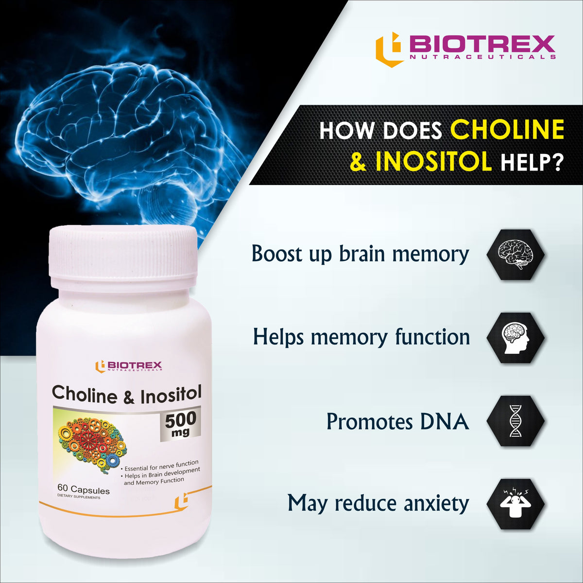 Biotrex Choline & Inositol 500mg - 60 Capsules – BIOTREX NUTRACEUTICALS