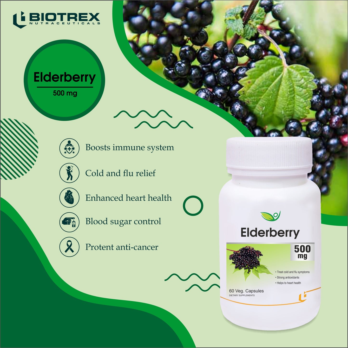 Biotrex Elderberry 500mg - 60 Capsules