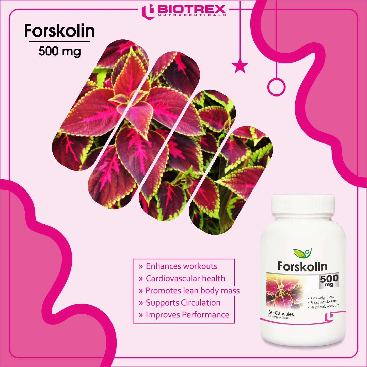 Biotrex Forskolin 500mg- 60 Capsules